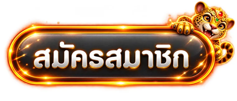 สมัครและเข้าสู่ระบบ PAYSUB ผ่านปุ่มโทนส้ม